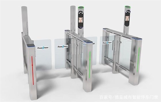 德亚人脸识别闸机