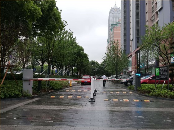 德亚小区门禁道闸