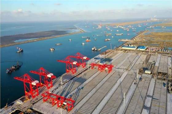 德亚码头车辆管理