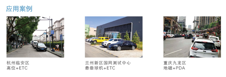 德亚路内停车案例