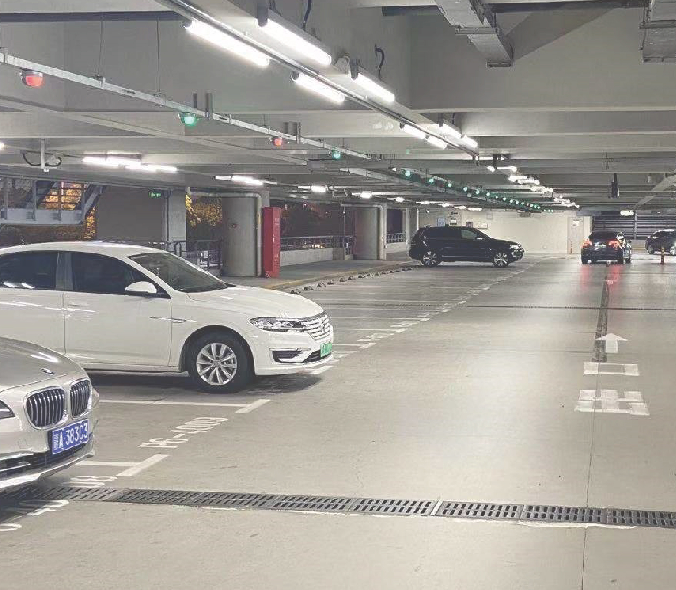 多样化的引导系统